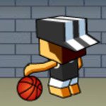 Premium Game Basketball